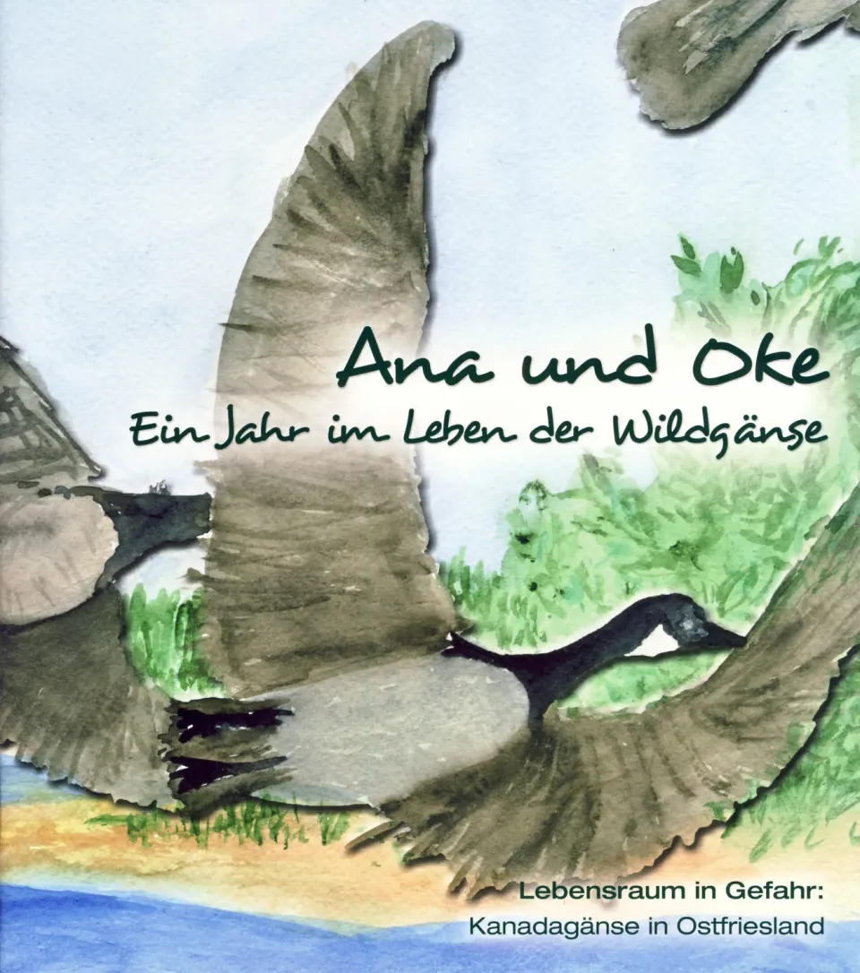 Isensee Verlag Ana und Oke Kinderbuch Ostfriesland
