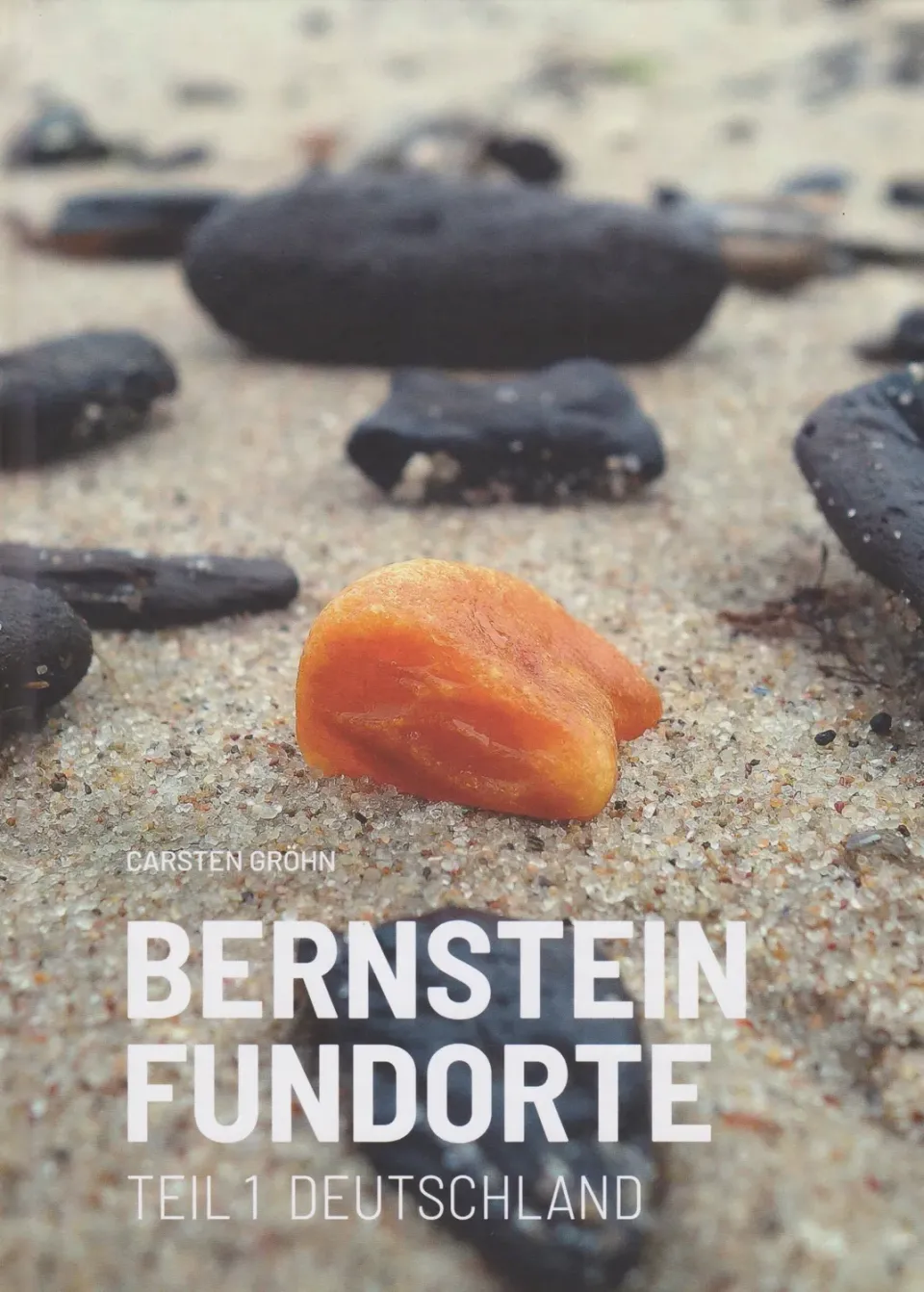 Isensee Archäologie Bernstein Fundorte Sachbuch Deutschland