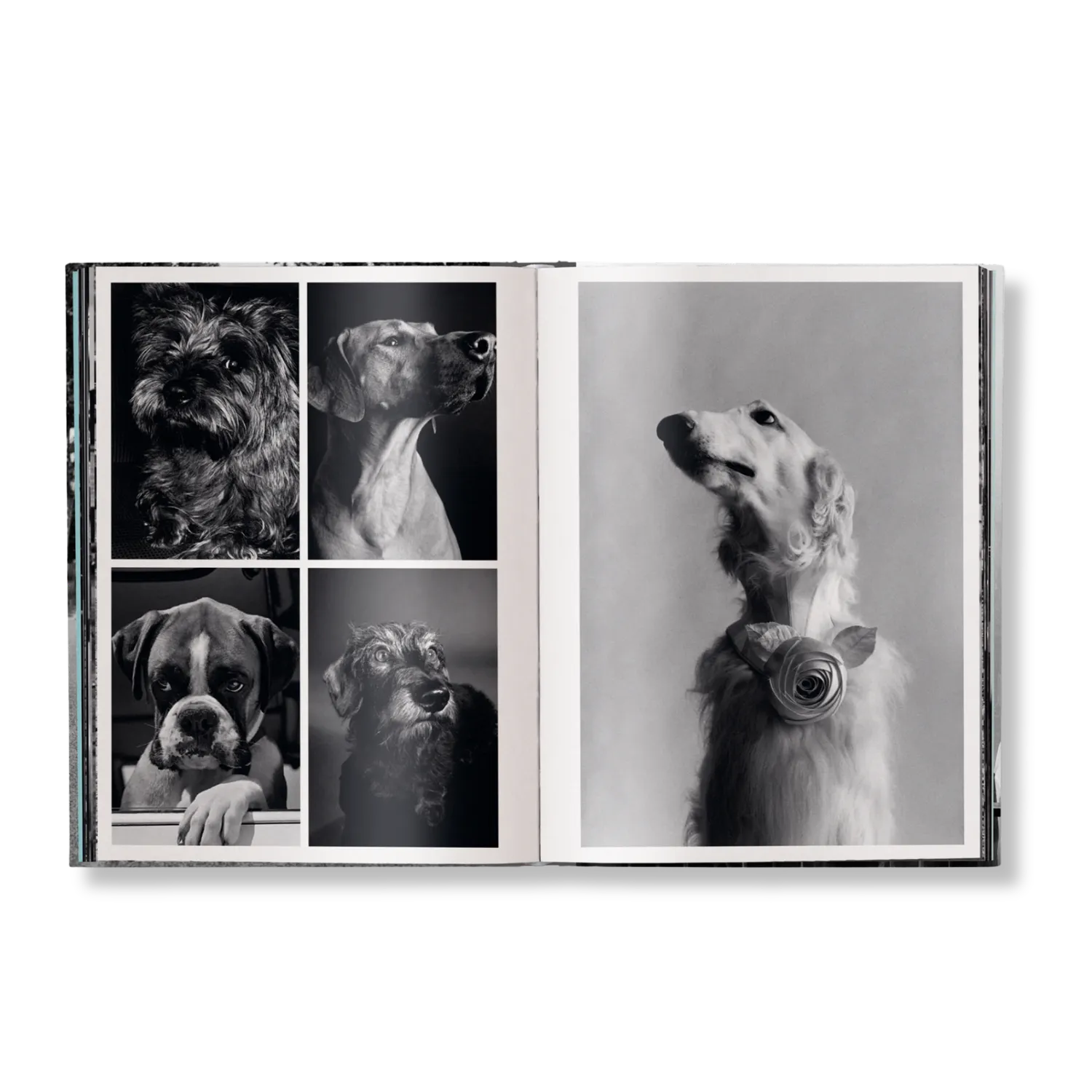 teNeues Elliott Erwitt Personal Best Bildband Softcover s/w