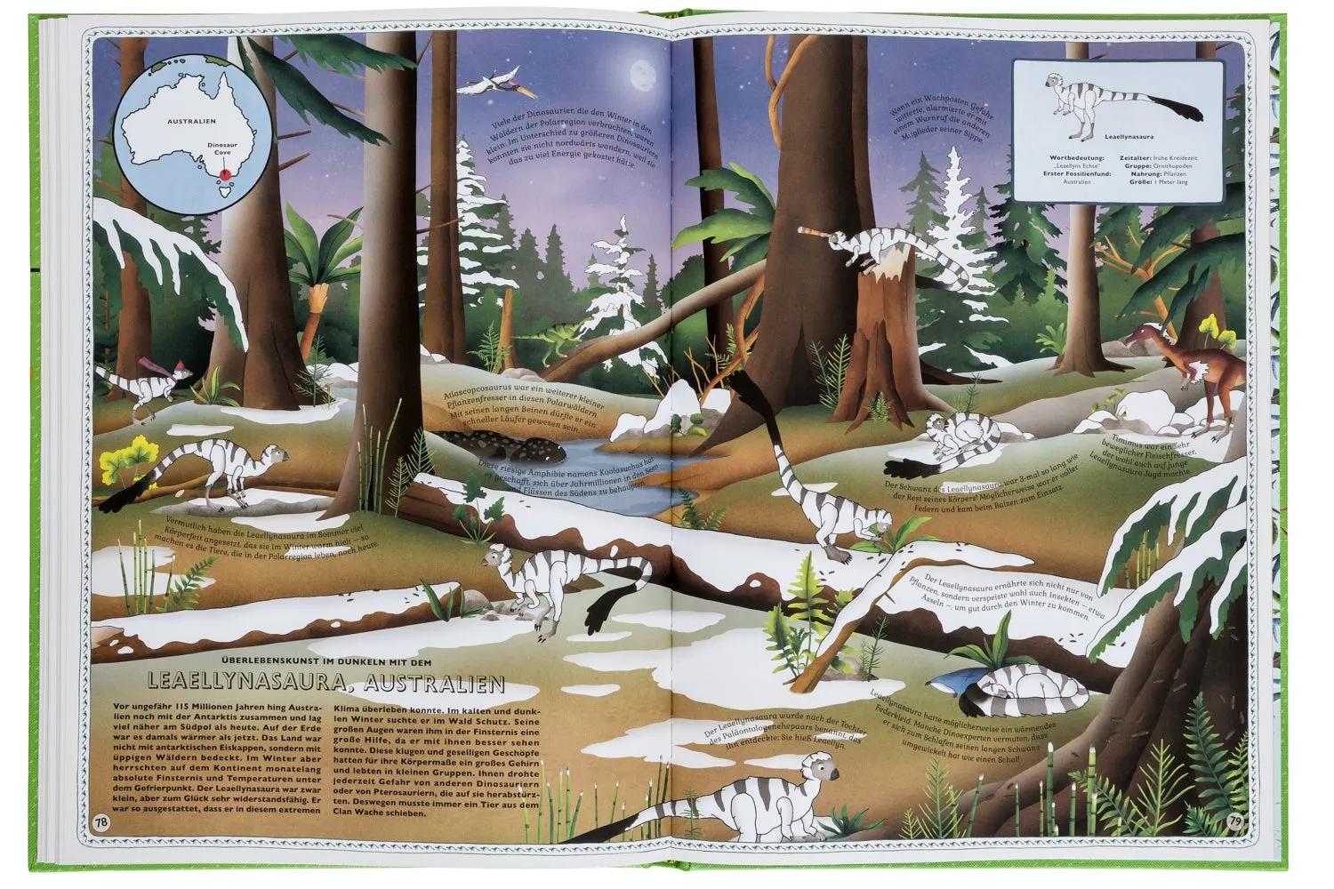 Gestalten Der Atlas der Dinosaurier Wimmelbuch 5-9 Jahre