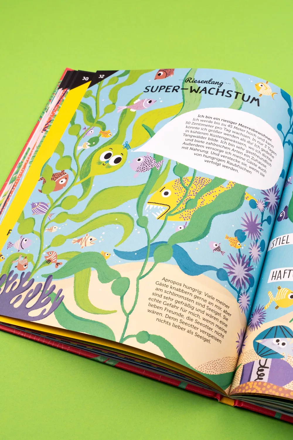 Seemann Henschel Geniale Power-Pflanzen Kinderbuch ab 5 Jahren