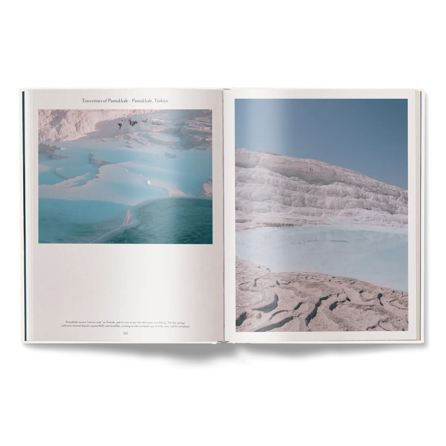Gestalten The Nature of Swimming Bildband Baden