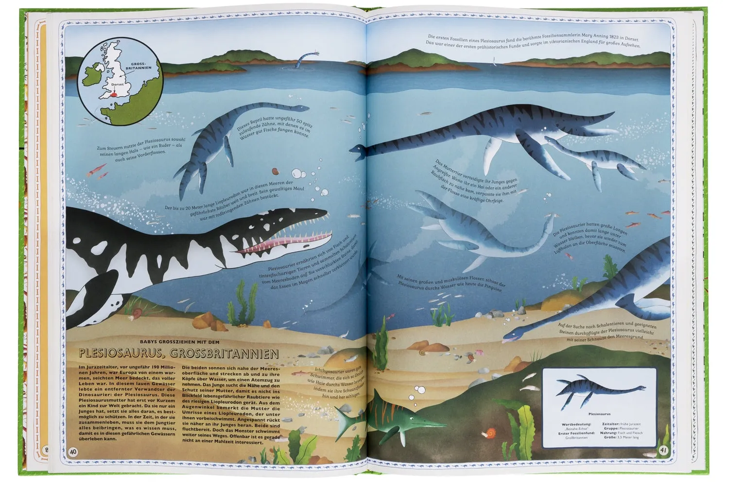Gestalten Der Atlas der Dinosaurier Wimmelbuch 5-9 Jahre