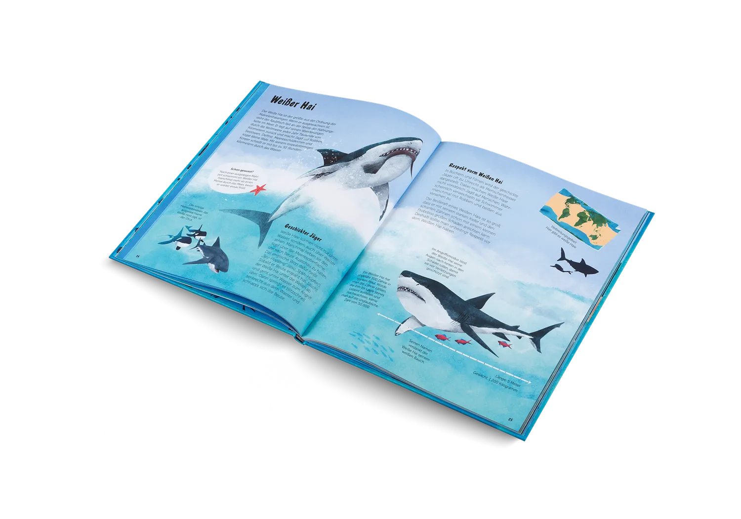 Kleine Gestalten Die Welt der Haie Kinderbuch Deutsch 5-7