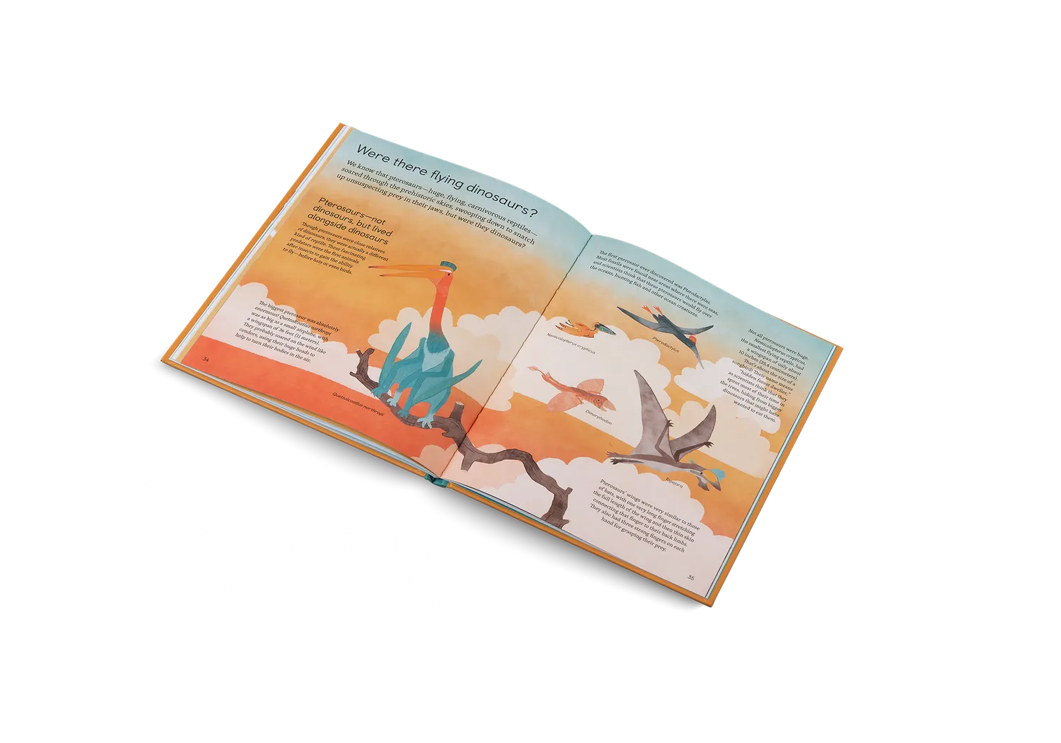 Gestalten Ask Me About Dinosaurs Kinderbuch Dino-Fragen