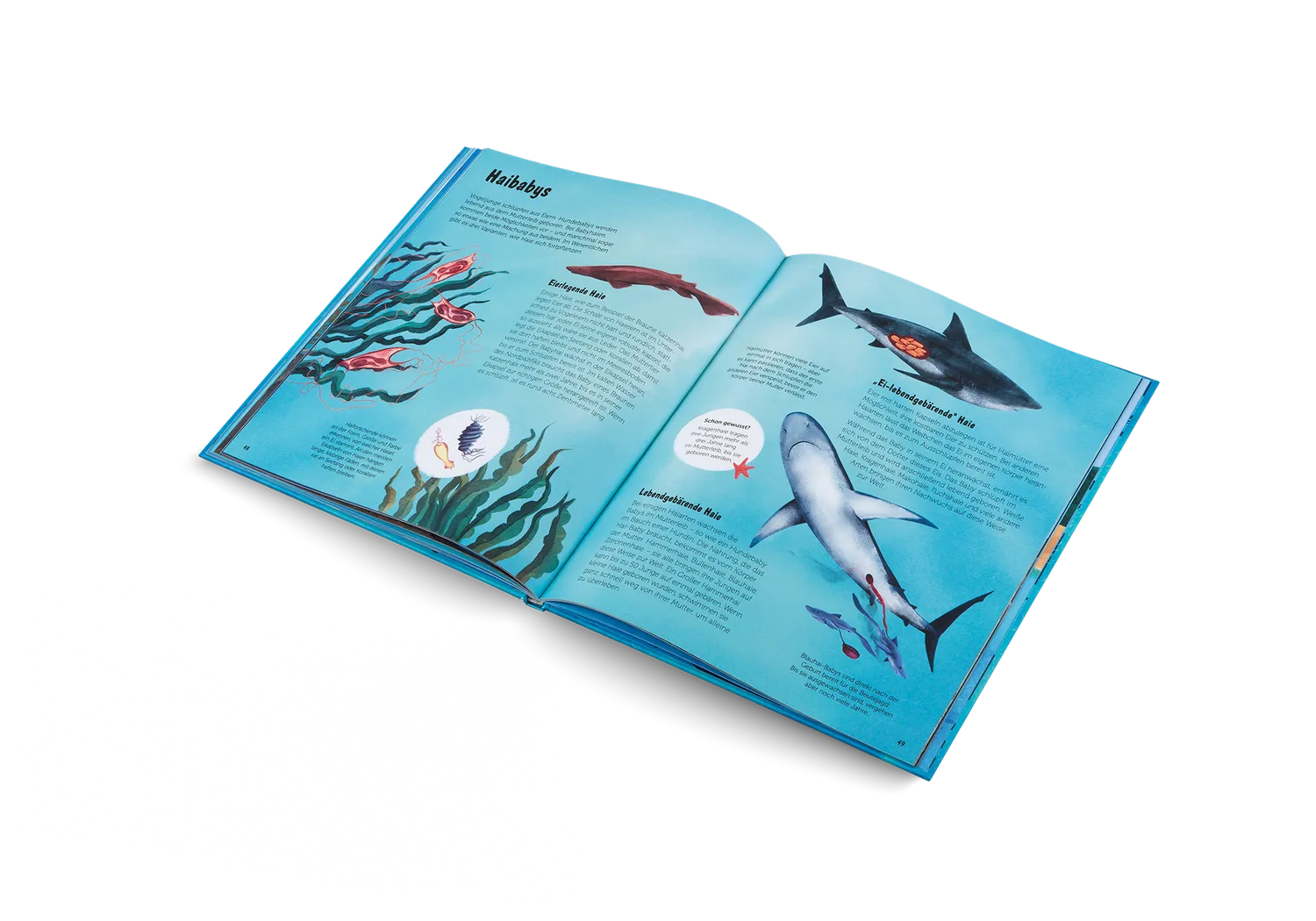 Kleine Gestalten Die Welt der Haie Kinderbuch Deutsch 5-7