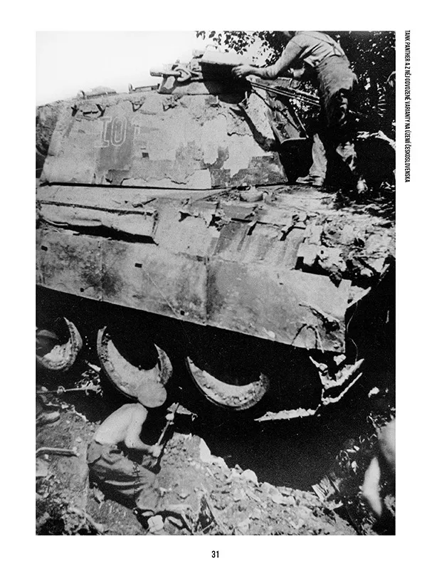 Canfora AFV Photo Album 3 Bildband Panther gebunden