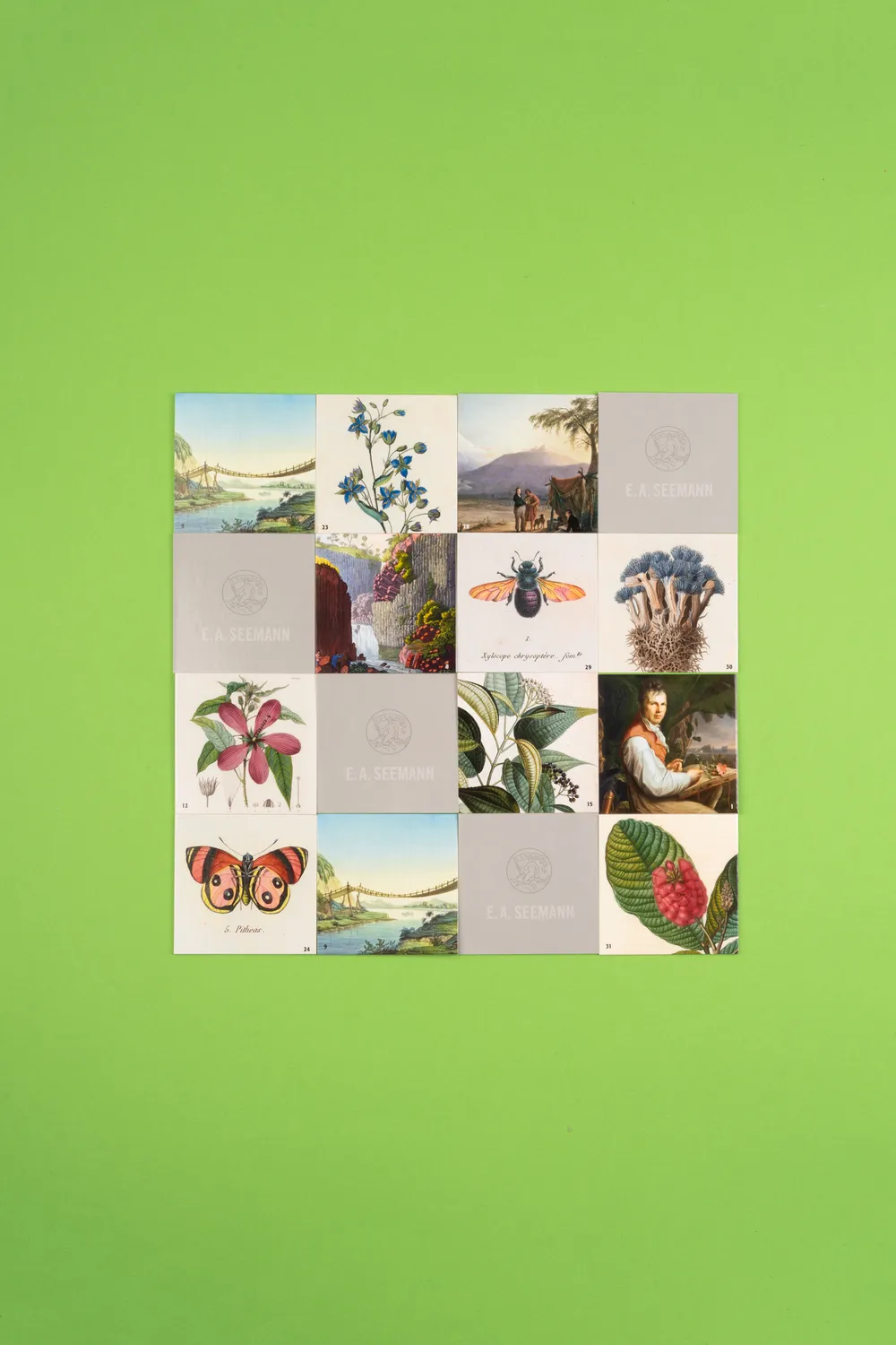 Seemann Henschel Alexander von Humboldt Memo Naturmotive