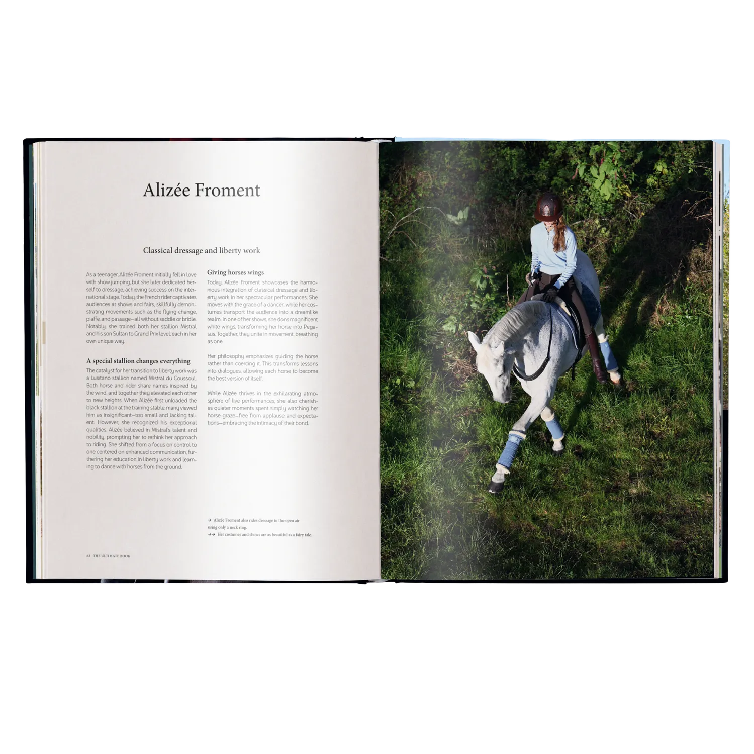 teNeues Equestrian The Ultimate Book Bildband Reiten