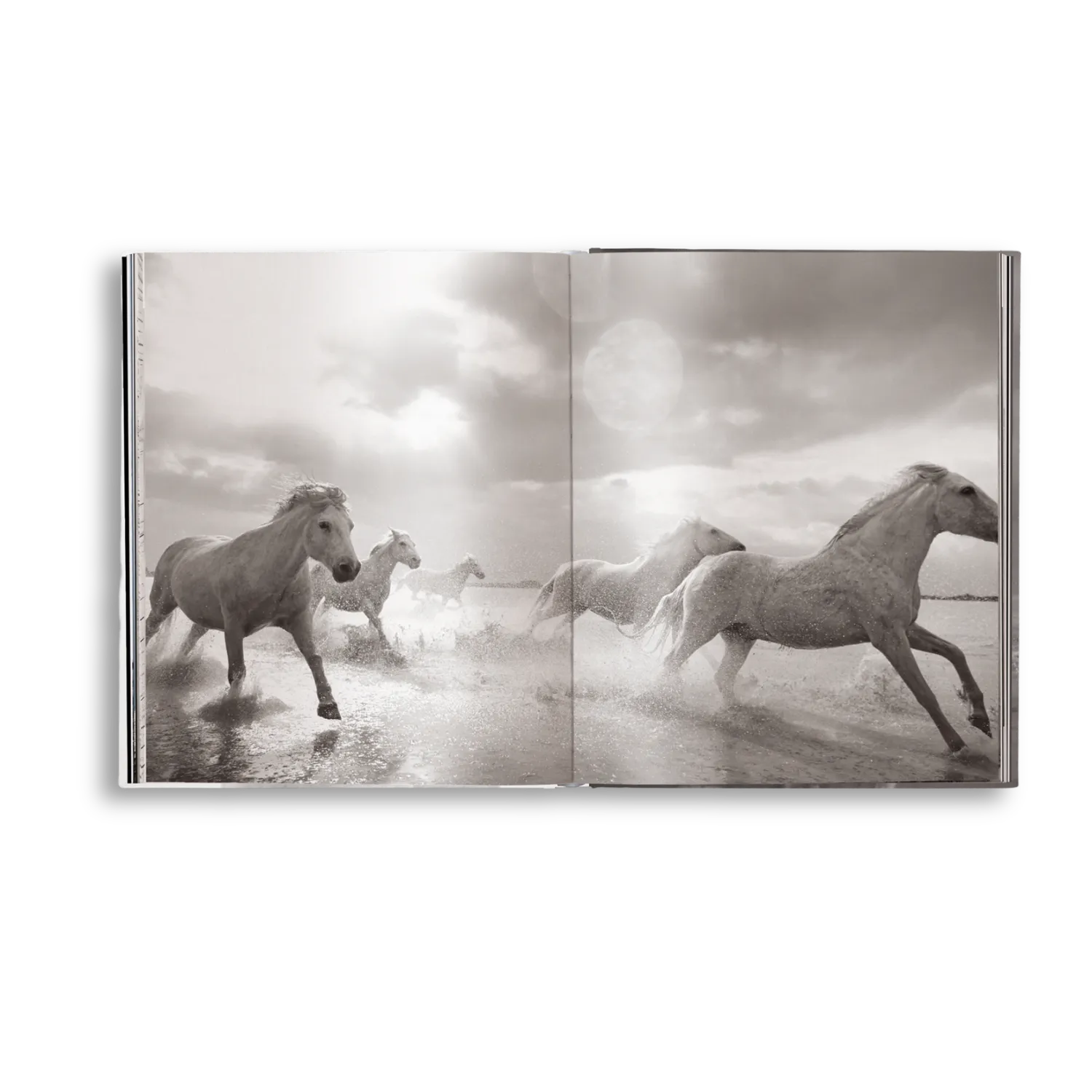 teNeues Untamed Spirits Bildband Pferde Wildpferde