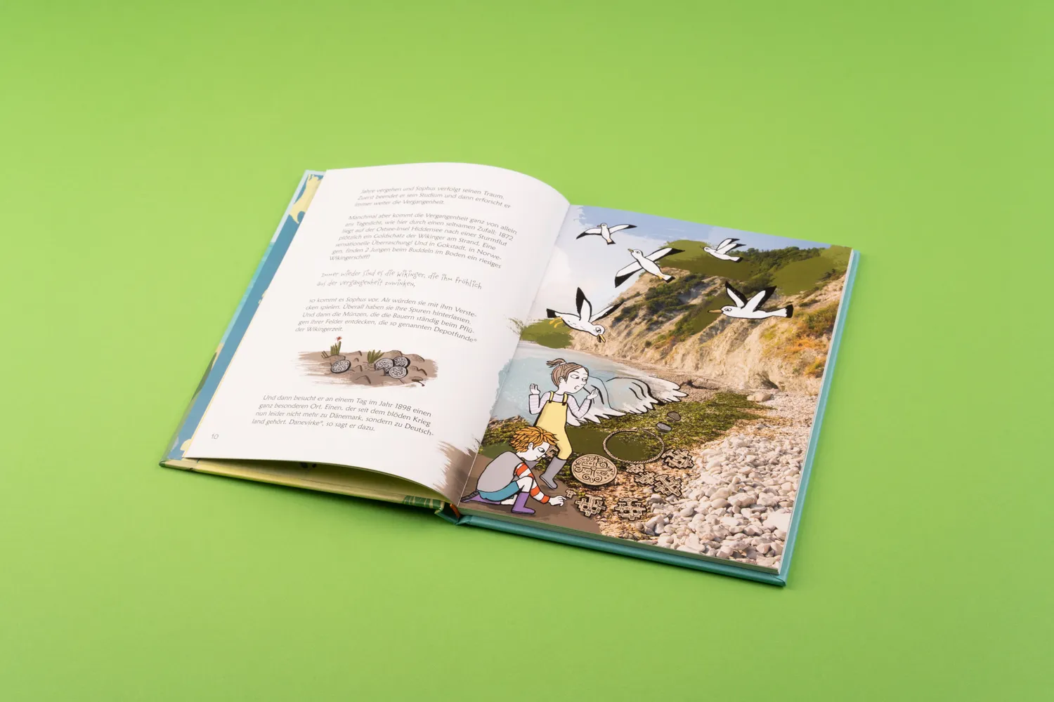 Seemann Henschel Wilde Wikinger in Sicht Kinderbuch Haithabu