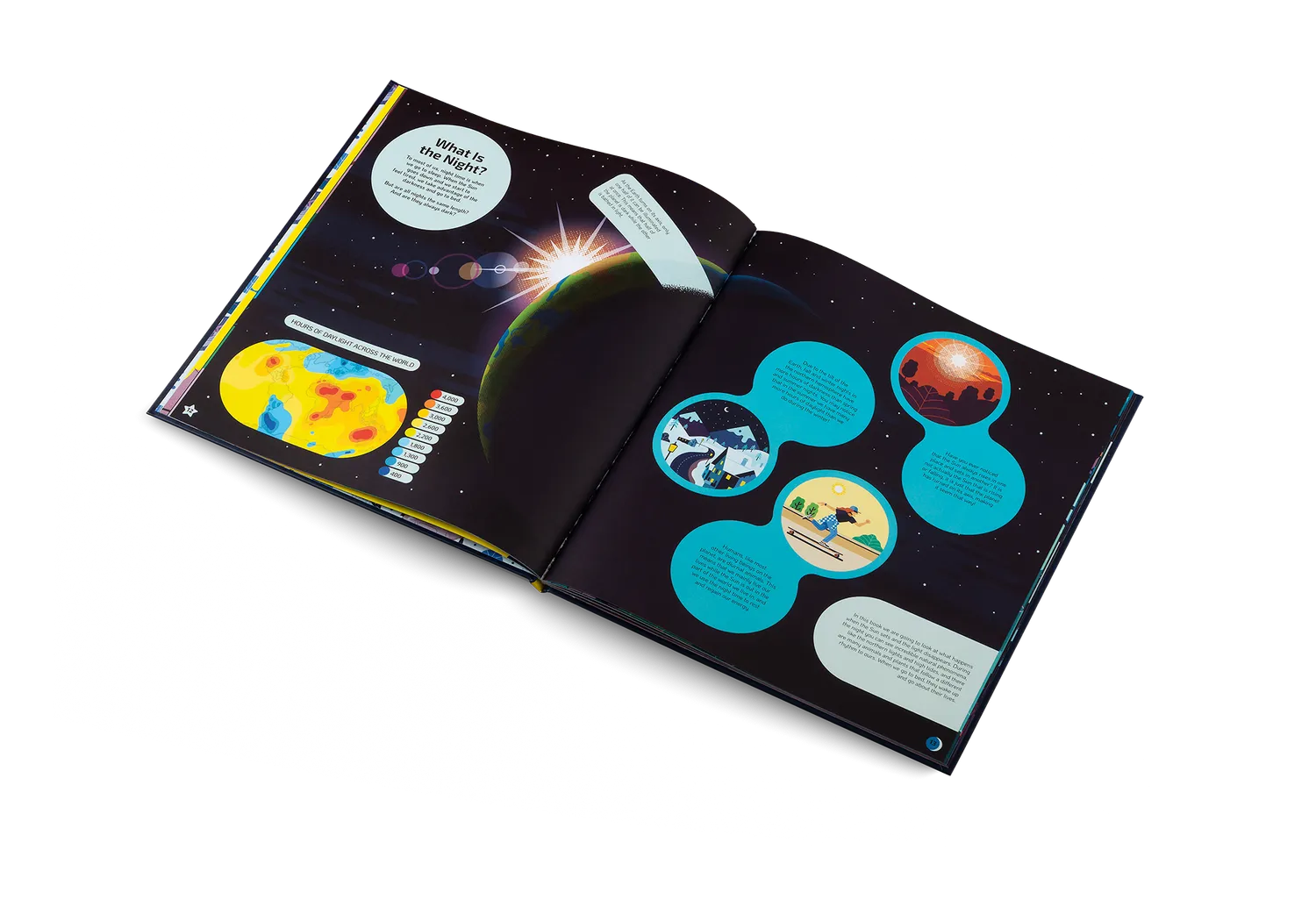 Kleine Gestalten Nocturnal Kinderbuch Nacht Tiere gebunden