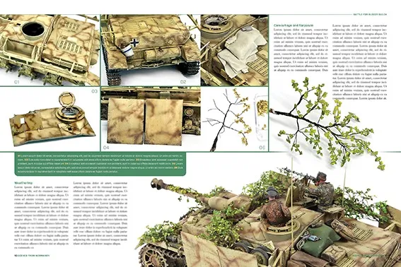 Canfora Scenes from Normandy Bildband 112 Seiten