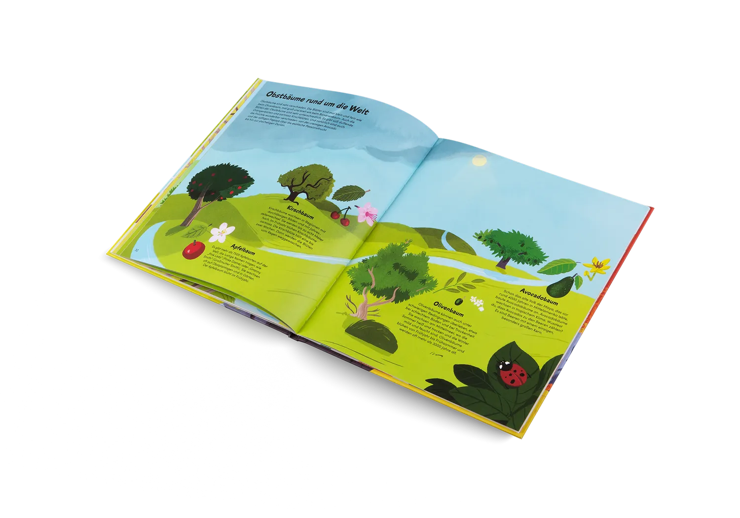 Gestalten Das kleine Buch der Bäume Kinderbuch Natur