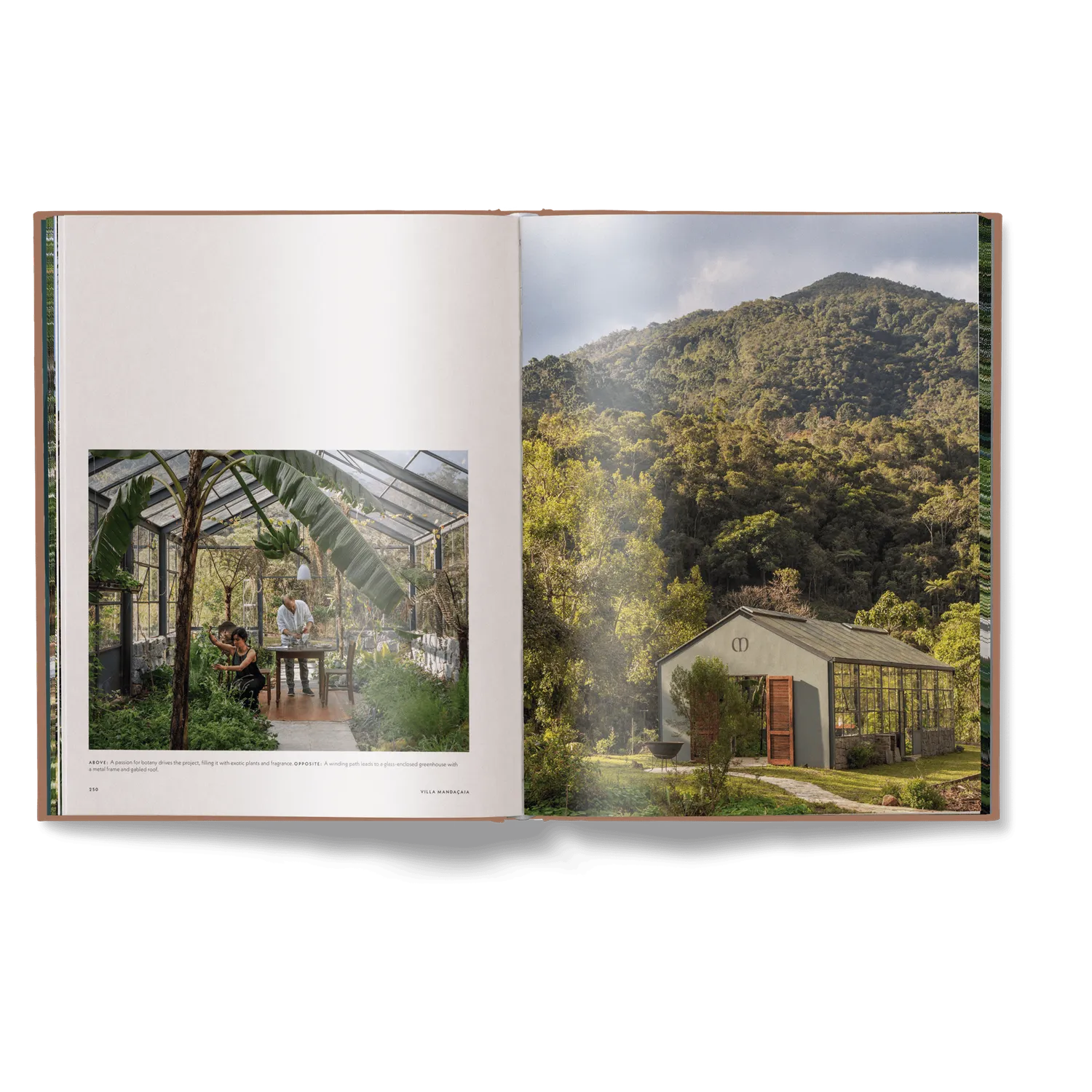 Gestalten Brazil Living Bildband Architektur englisch