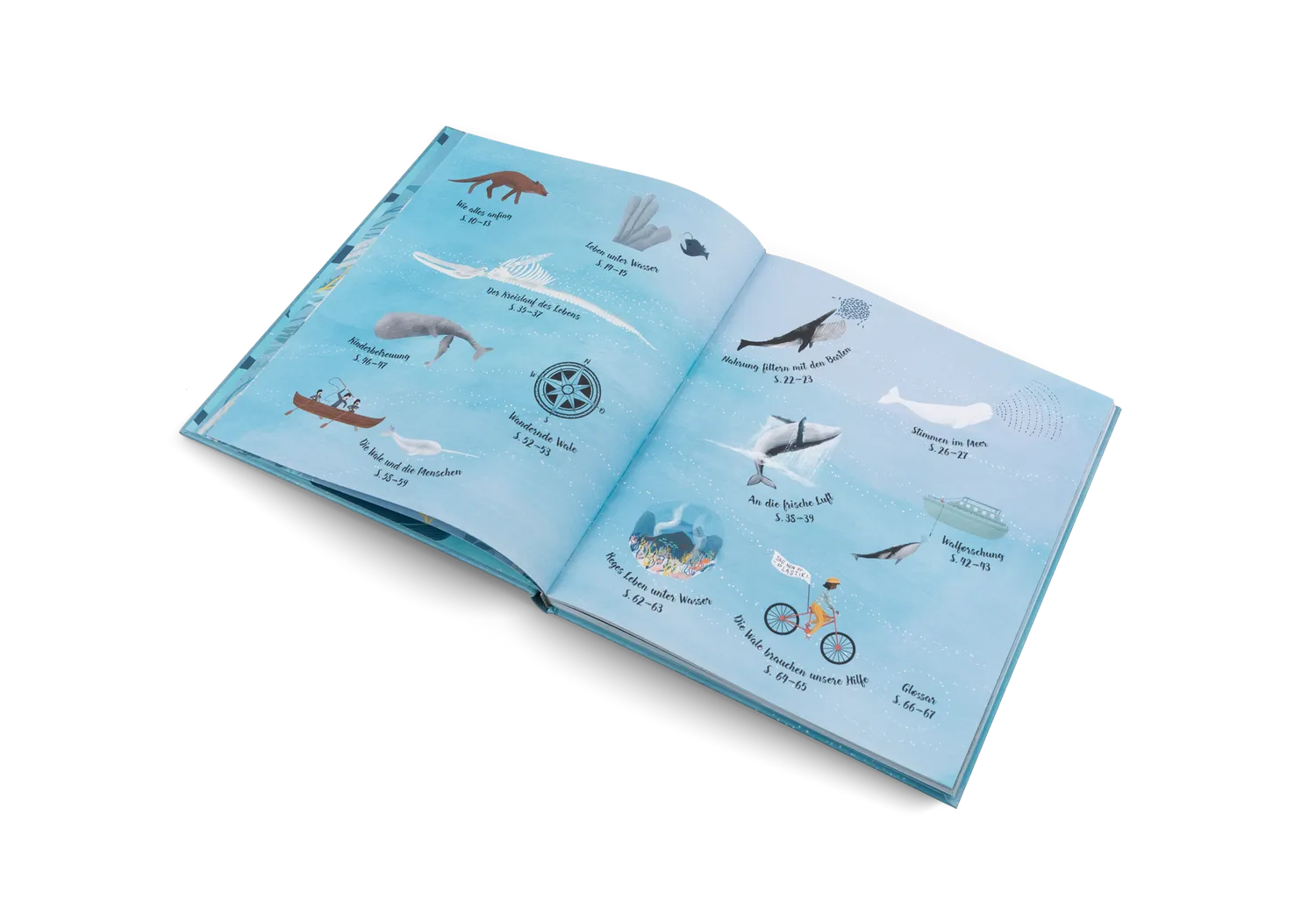 Little Gestalten Die Welt der Wale Sachbuch 5-7 Jahre