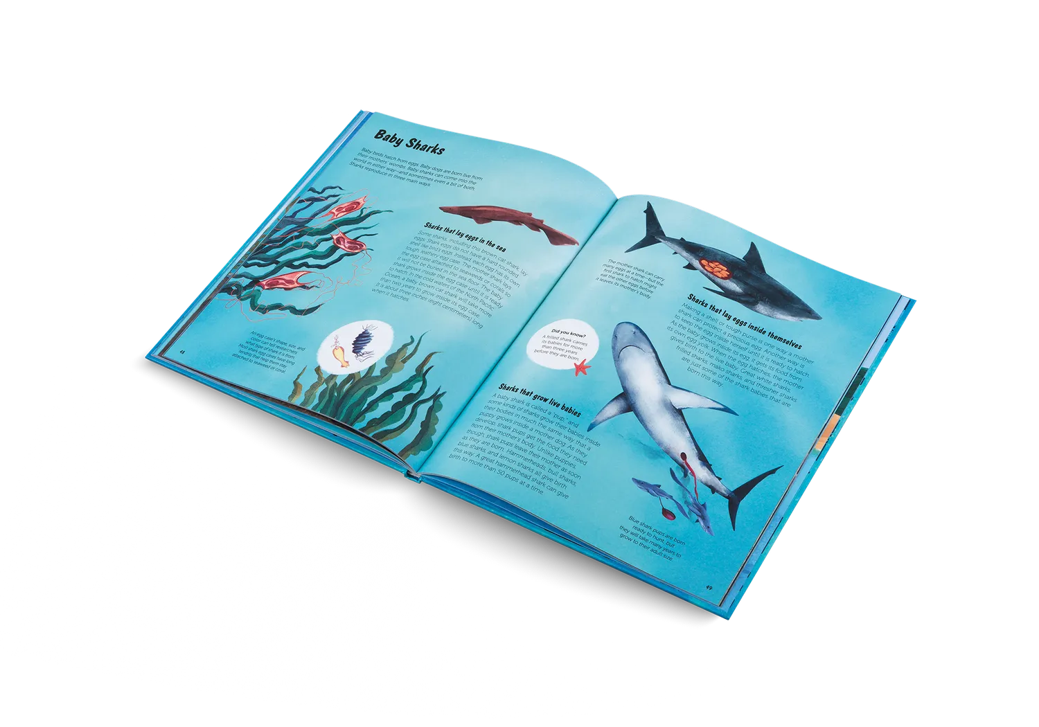 Gestalten The World of Sharks Kinderbuch Haie