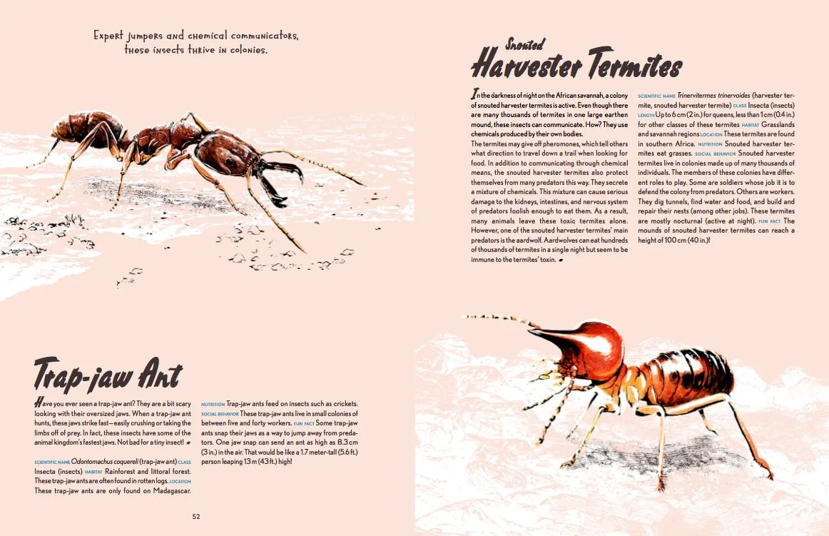Gestalten Little Gestalten Animal Allstars Kinderbuch ab 5 Jahre