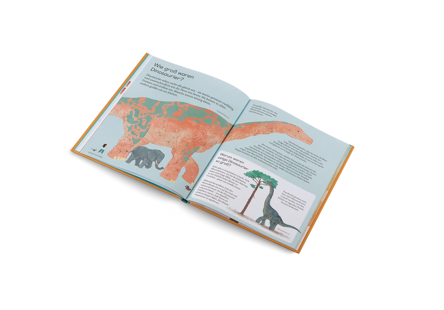 Kleine Gestalten Frag mich was über Dinosaurier Kinderbuch
