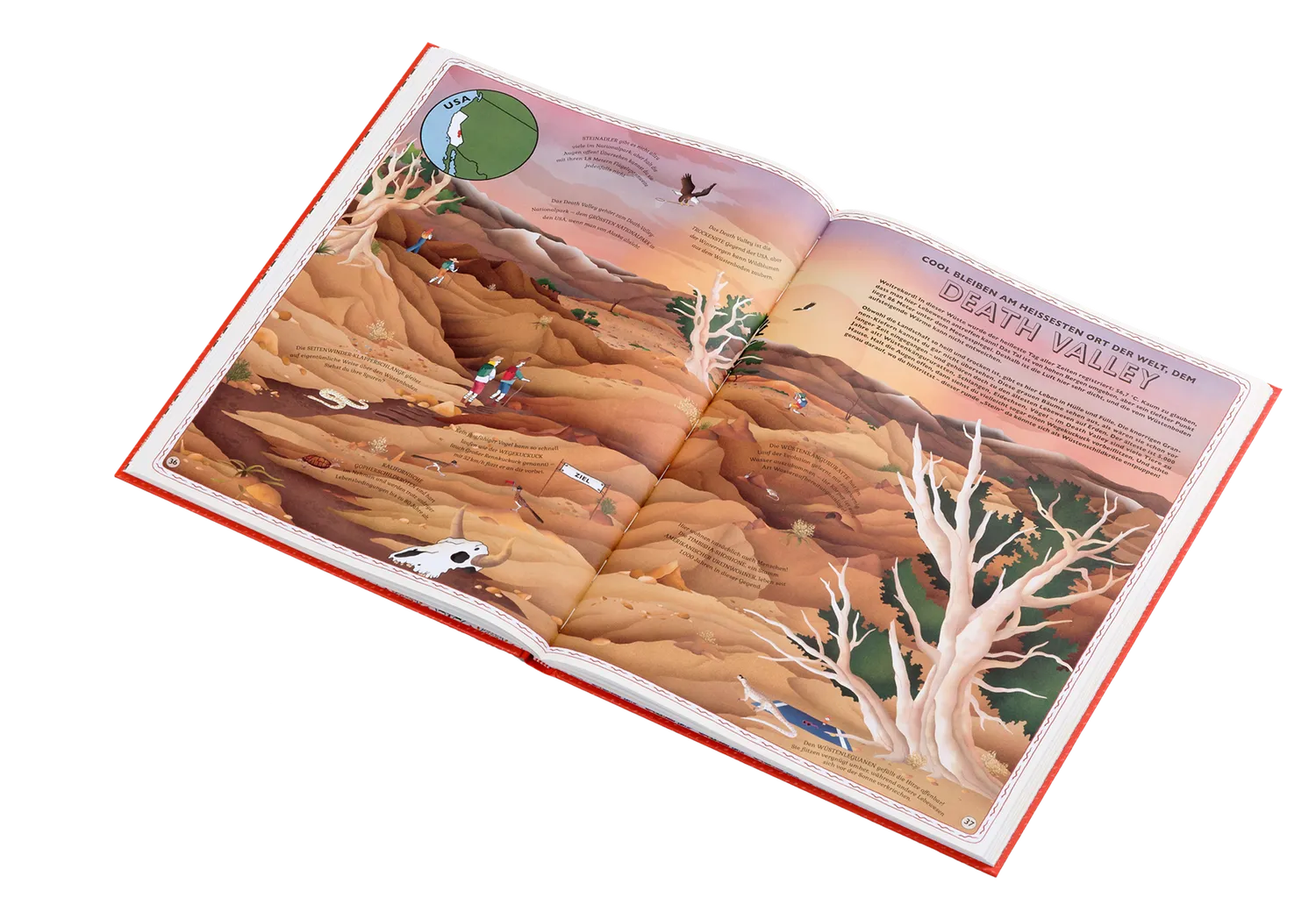 Gestalten Die Wunder der Welt Bildband Kinderatlas 5-7 Jahre