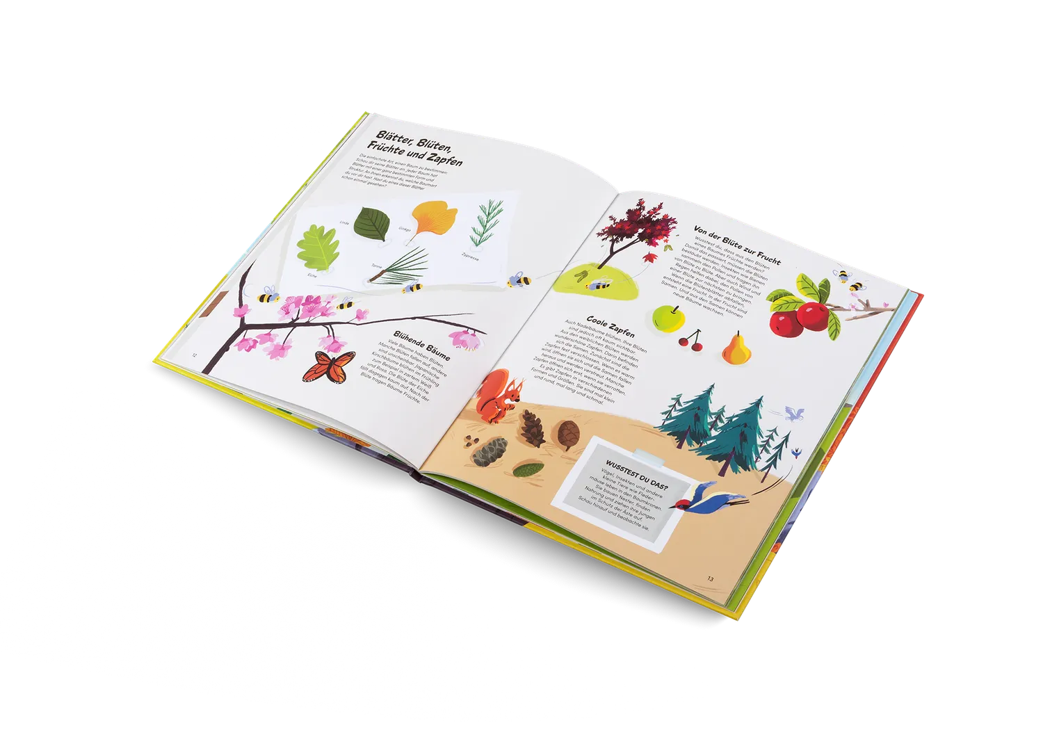 Gestalten Das kleine Buch der Bäume Kinderbuch Natur