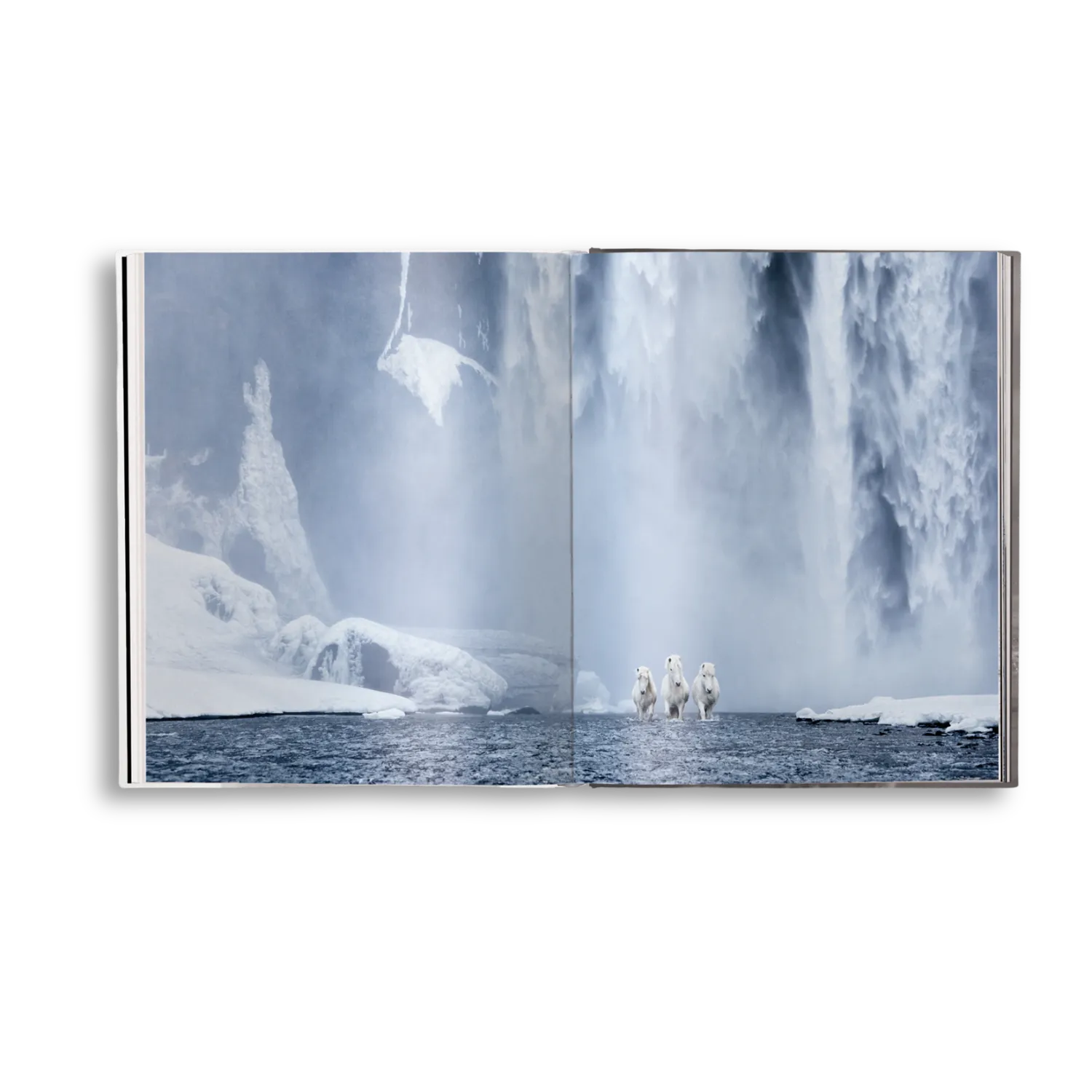 teNeues Untamed Spirits Bildband Pferde Wildpferde