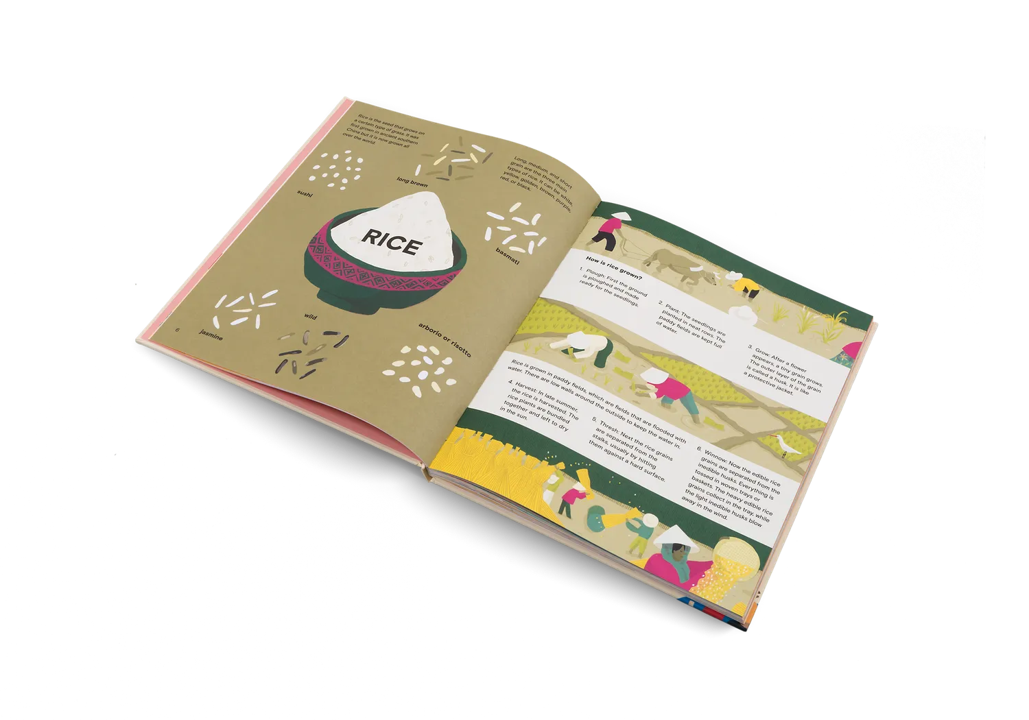 Little Gestalten A Taste of the World Kinderkochbuch Essen