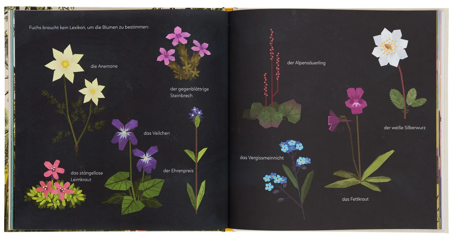 Gestalten Die goldene Funkelblume Bilderbuch gebunden ab 3