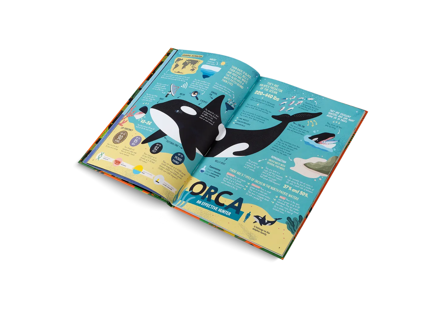 Little Gestalten The Hunters Kinderbuch ab 7 Jahre Raubtiere