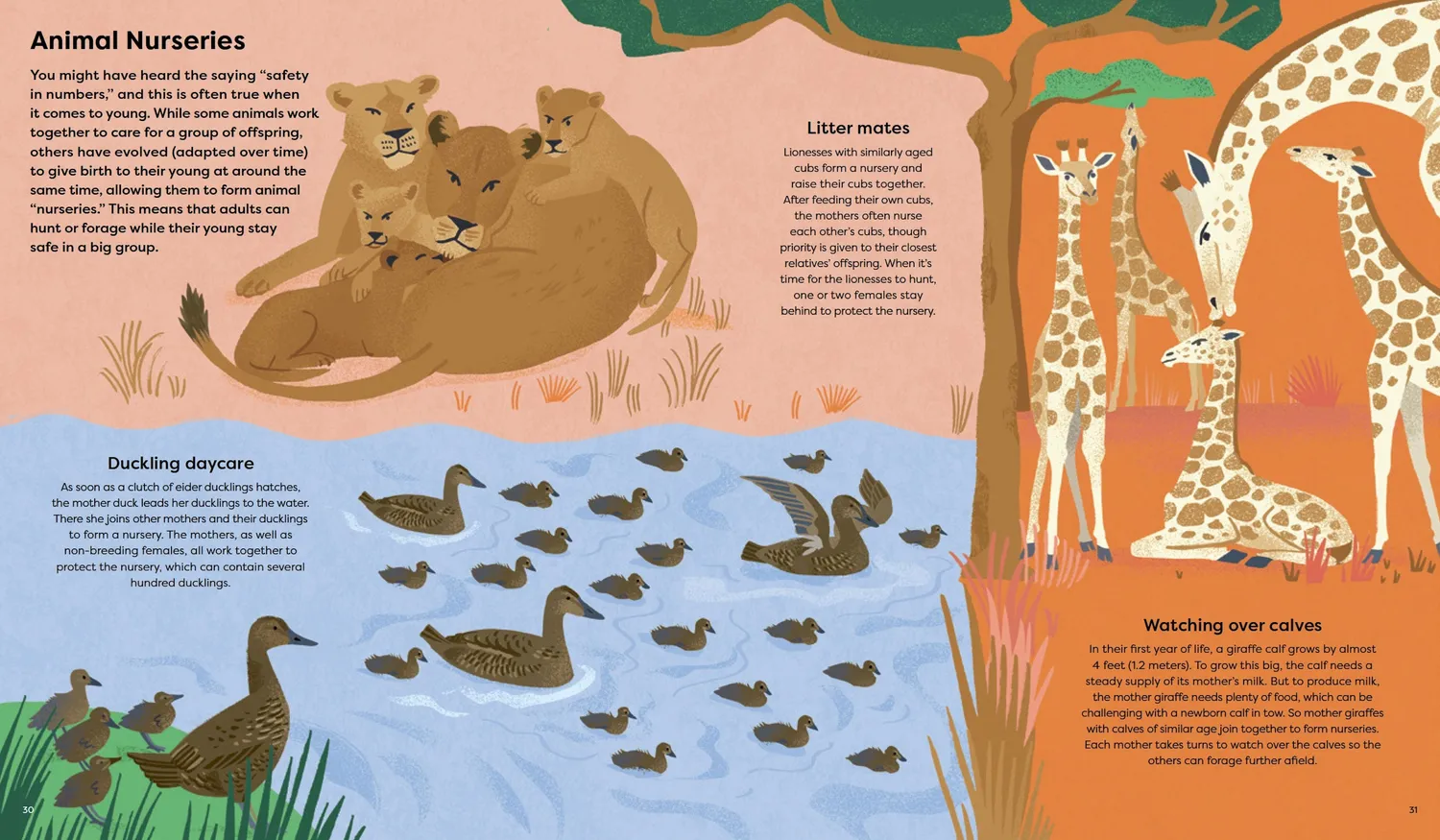 Little Gestalten Home Is Where the Herd Is Kinderbuch Tiere