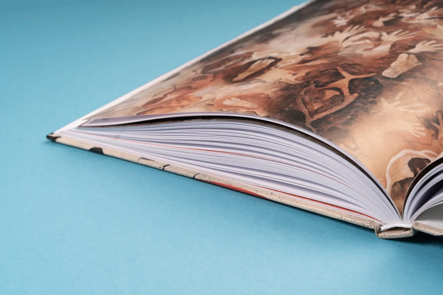 Seemann Henschel Urknall der Kunst Bildband Felsbilder