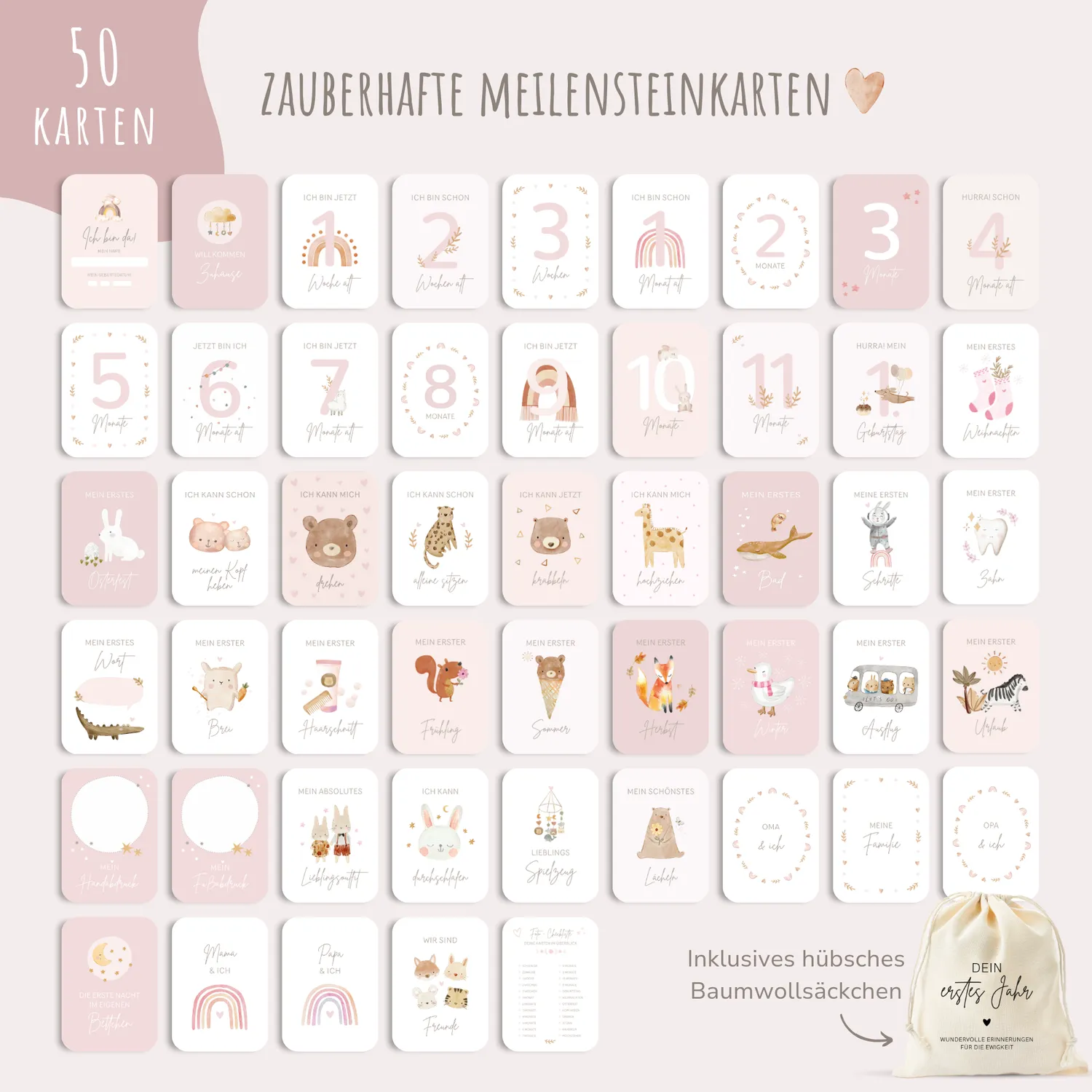 MeinBaby123 Dein erstes Jahr Meilensteinkarten 50er rosa
