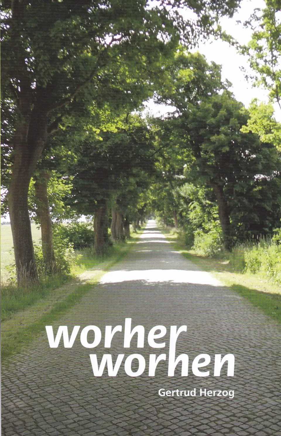 Isensee Verlag Worher Worhen Buch Plattdeutsch