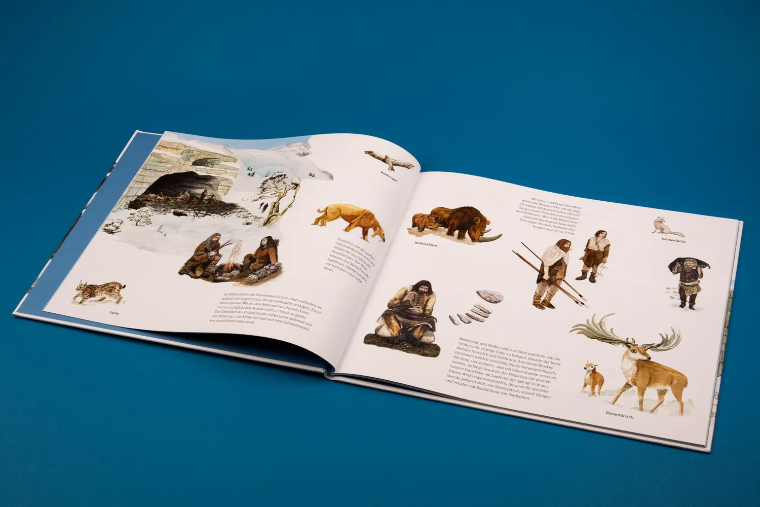 Seemann Henschel Wie man ein Mammut jagt Kinderbuch Steinzeit