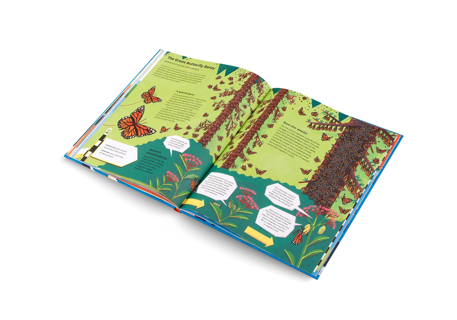 Little Gestalten Keep On Moving Kinderbuch 7-9 Jahre