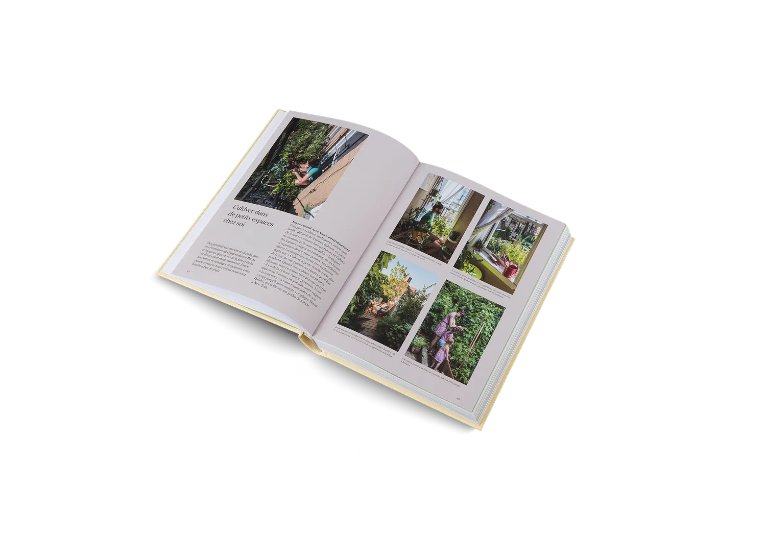 Gestalten Fermiers Urbains Sachbuch französische Ausgabe Urban Farming