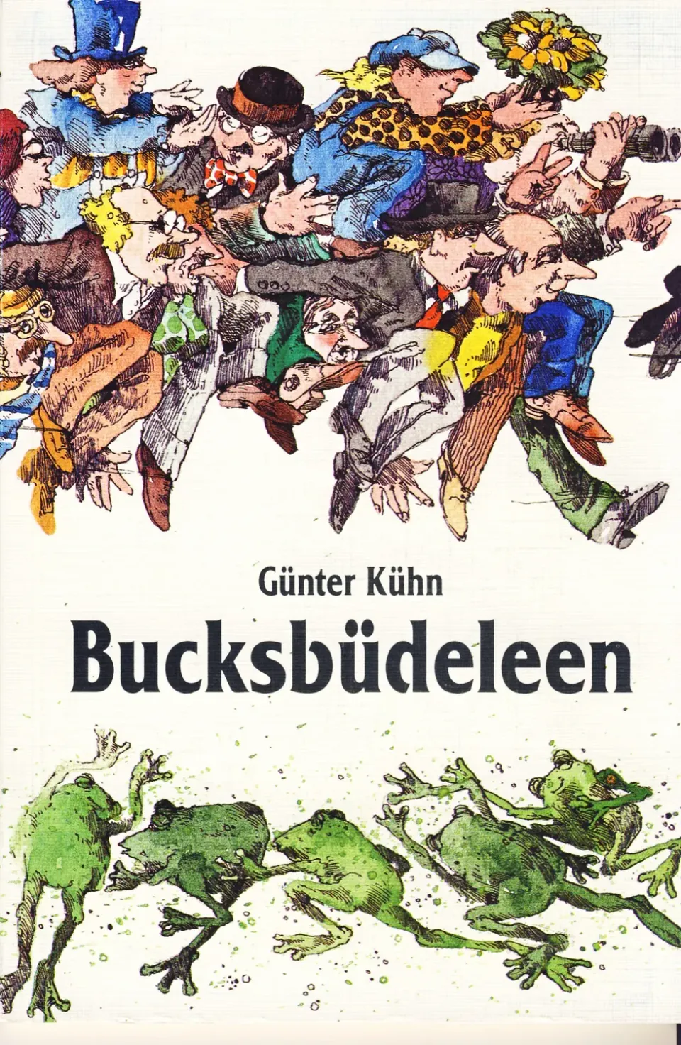 Isensee Niederdt. Literatur Bucksbüdeleen Buch Plattdeutsch