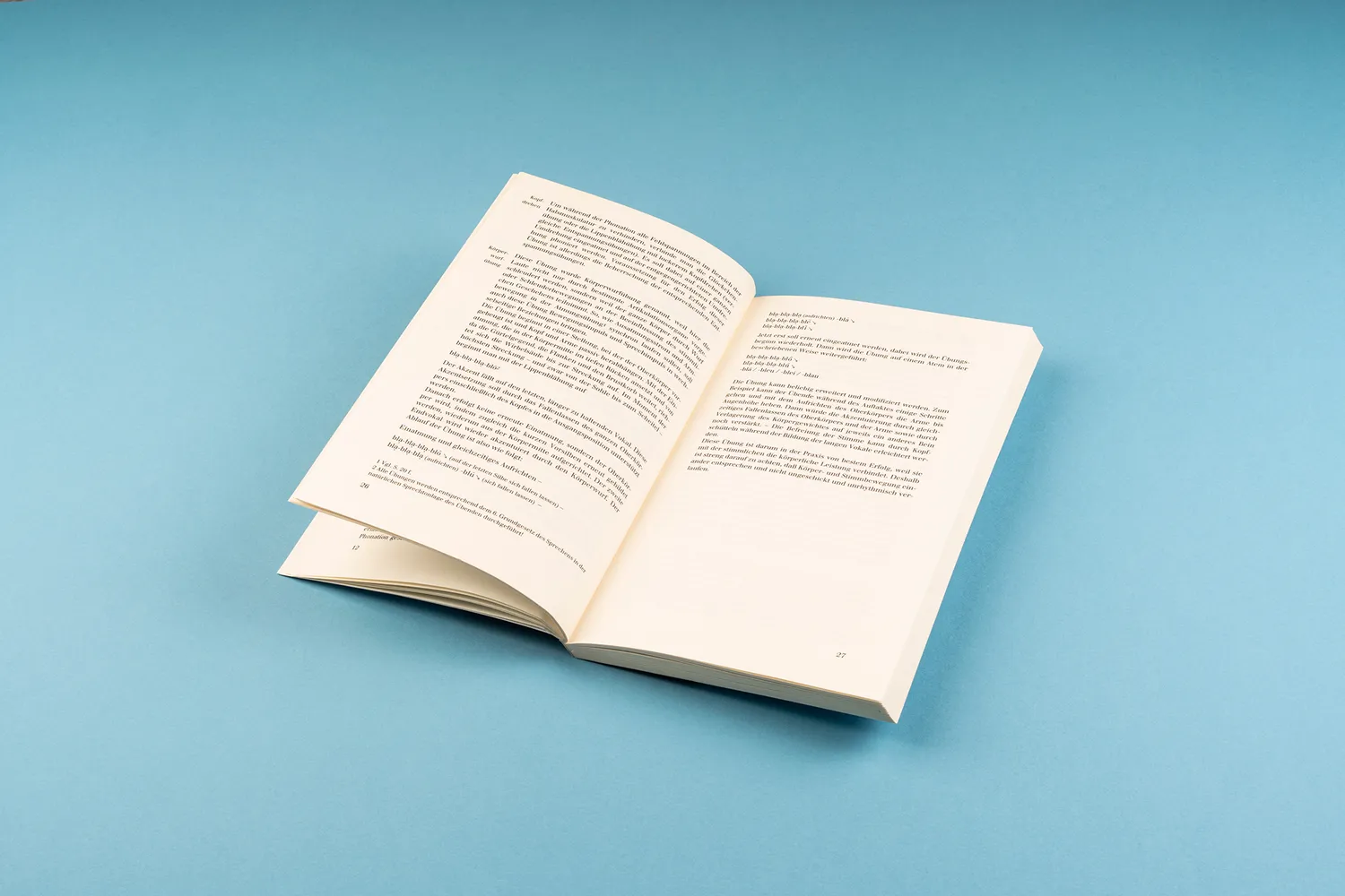 Seemann Henschel Sprecherzieherisches Übungsbuch Stimmbildung