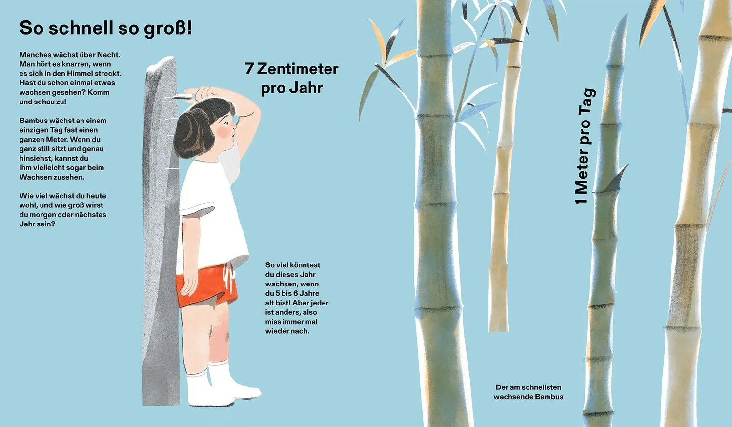 Gestalten Wie groß, wie weit, wie schnell? Die Welt und ich Kinderbuch