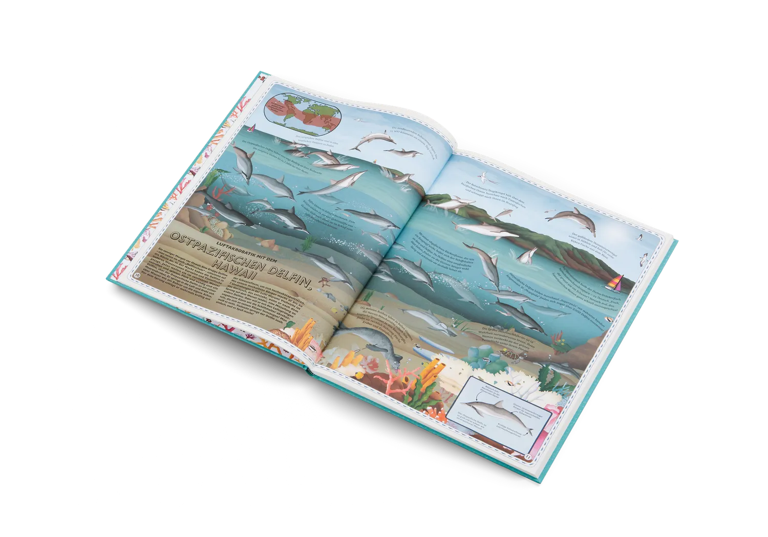 Little Gestalten Atlas Der Atlas der Ozeane Kinderbuch 7-9 Jahre
