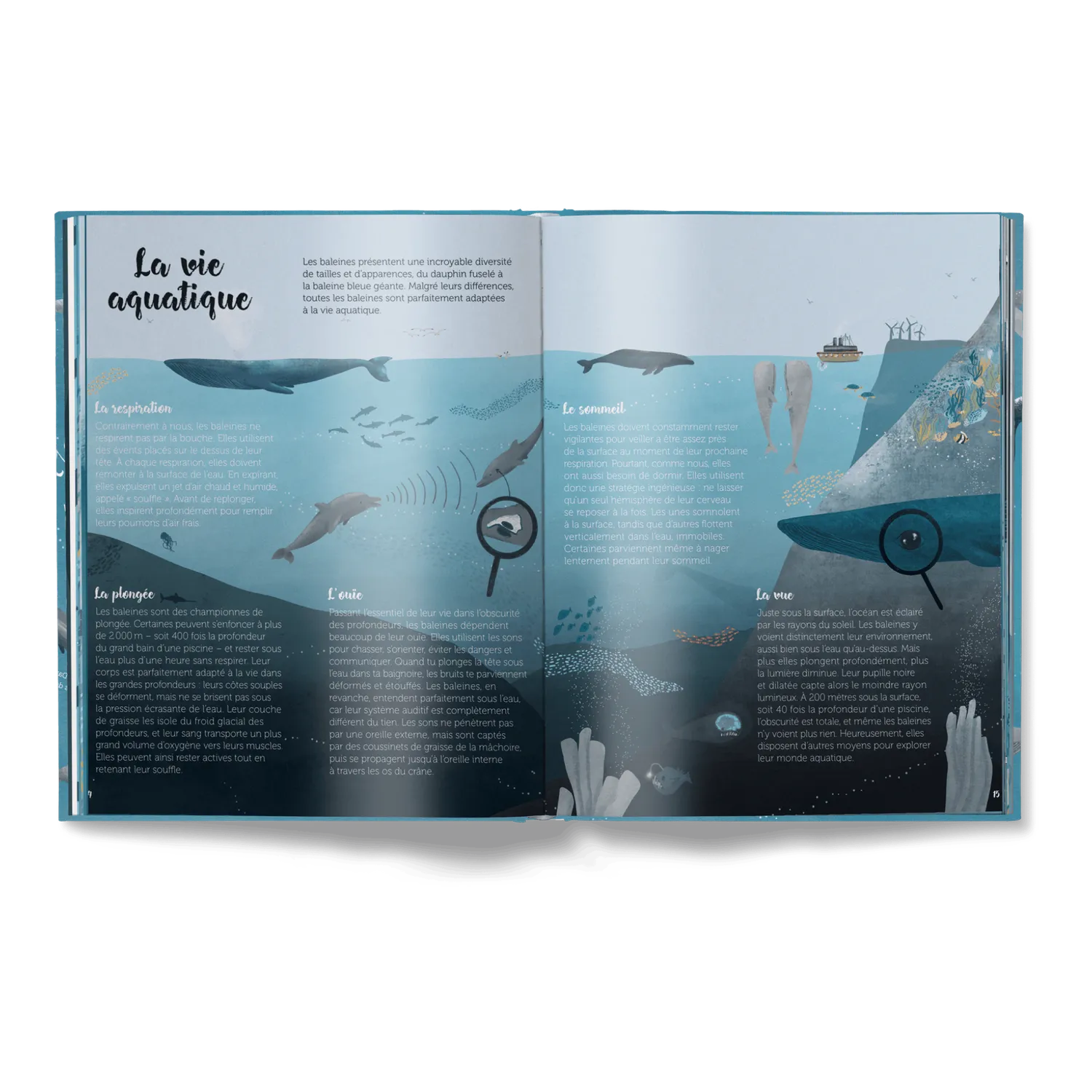 Little Gestalten Le Monde des Baleines Kinderbuch Wale französisch