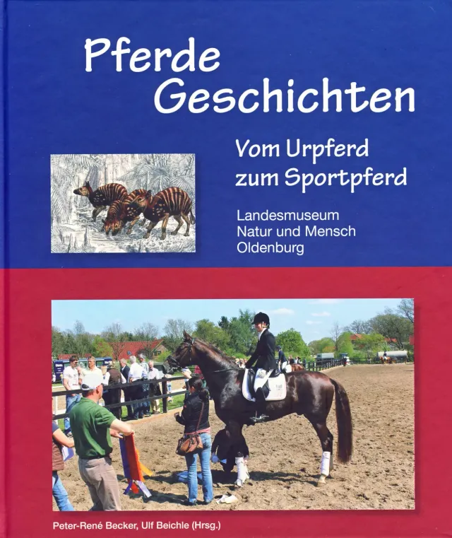 Isensee Nordwest Pferde Geschichten Sachbuch Bildband