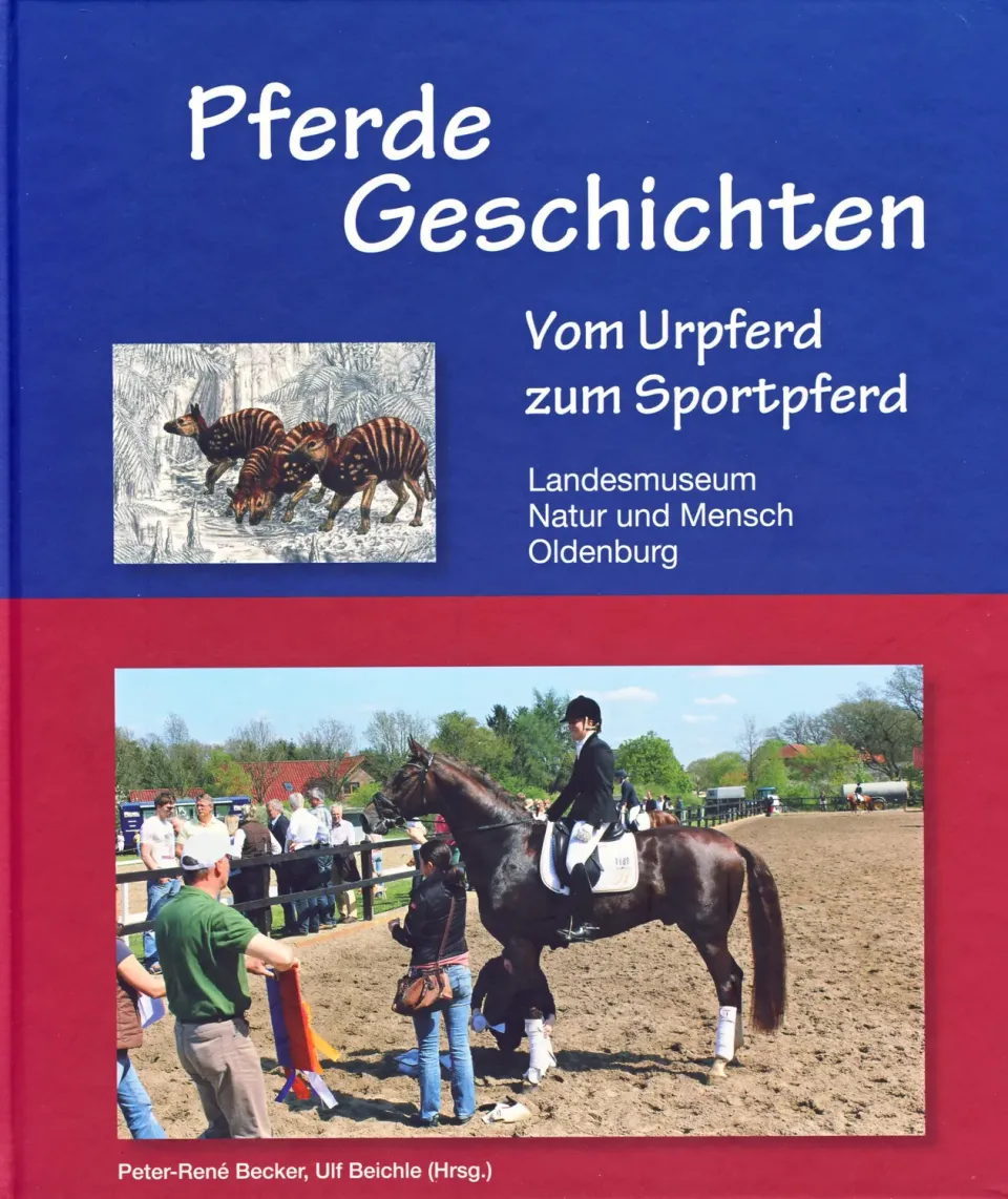 Isensee Nordwest Pferde Geschichten Sachbuch Bildband