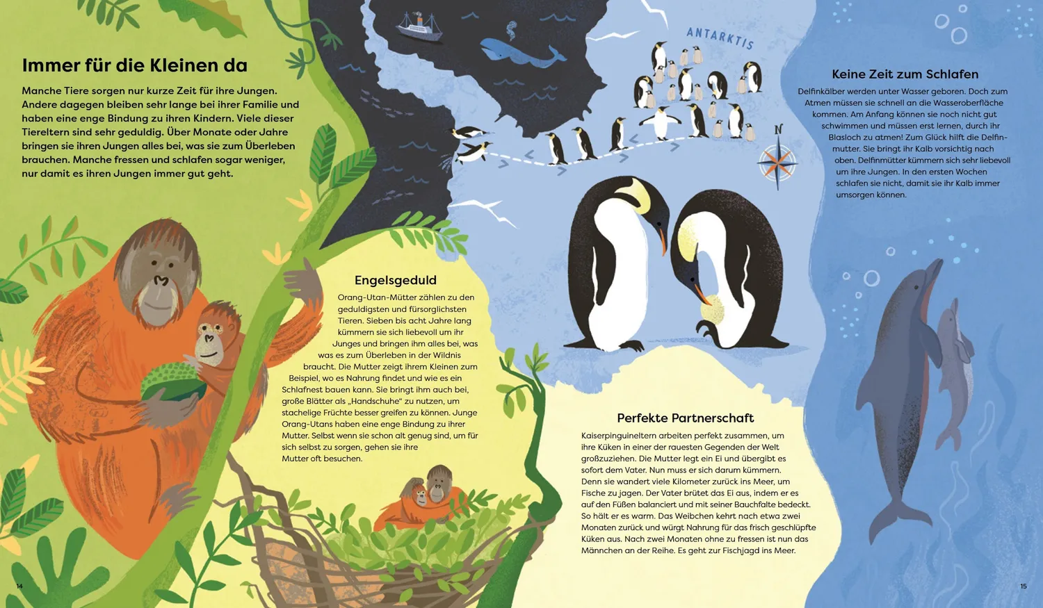 Kleine Gestalten Wildes Zusammenleben Kinderbuch Tierfamilien