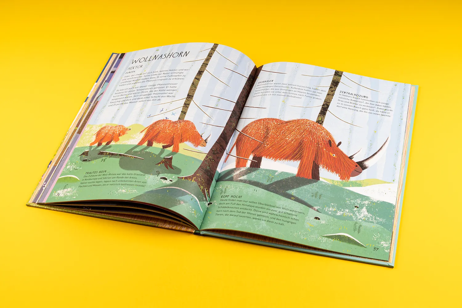 Seemann Henschel Mia Mammut Eiszeit Kinderbuch ab 5
