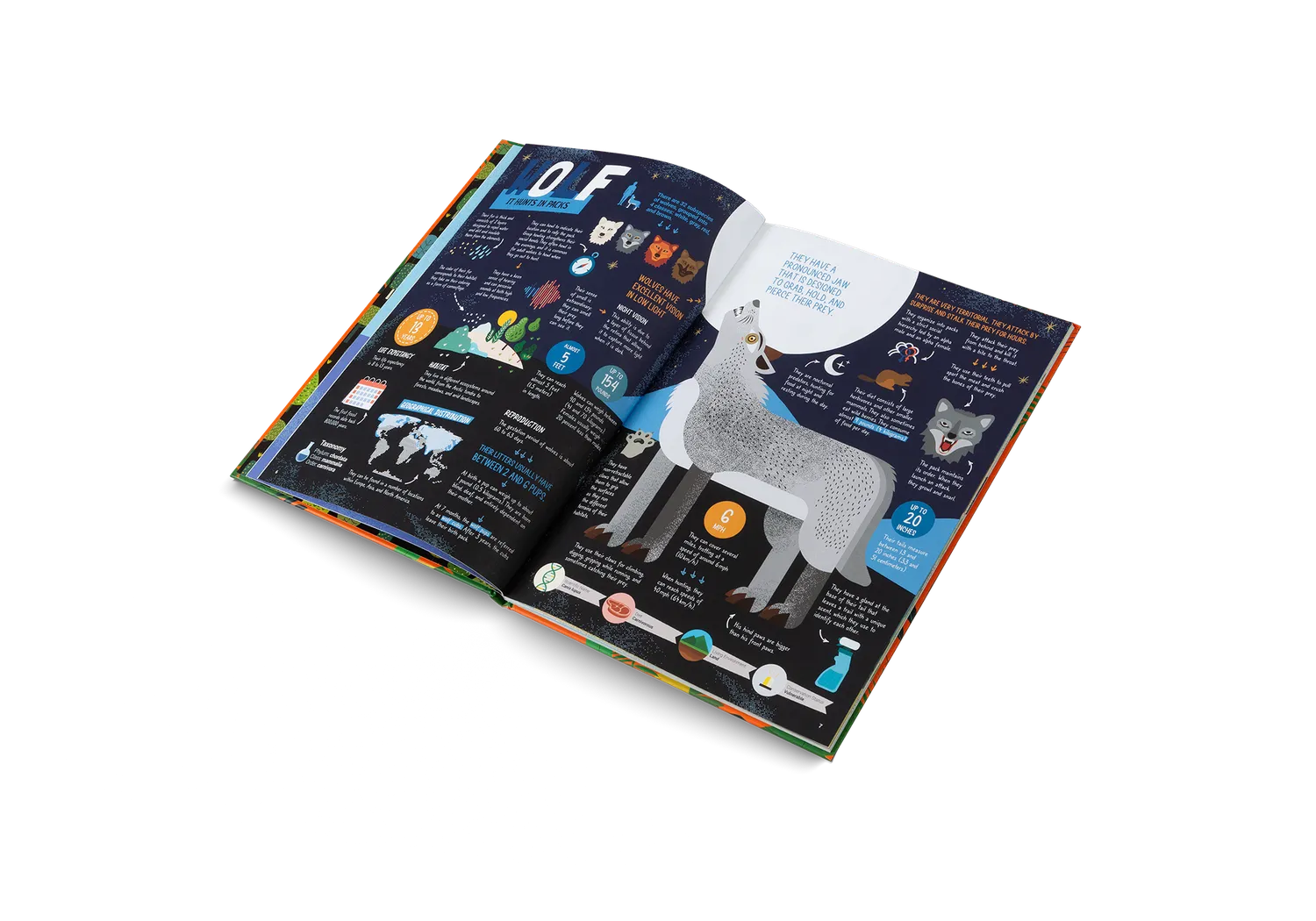 Little Gestalten The Hunters Kinderbuch ab 7 Jahre Raubtiere