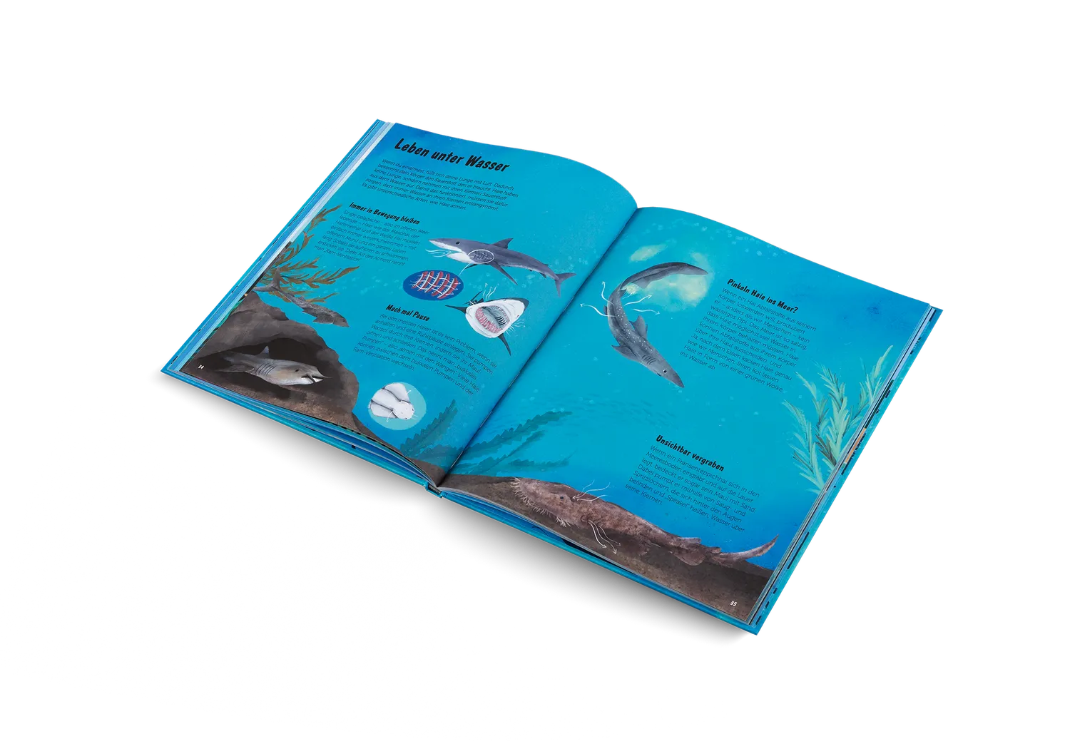 Kleine Gestalten Die Welt der Haie Kinderbuch Deutsch 5-7