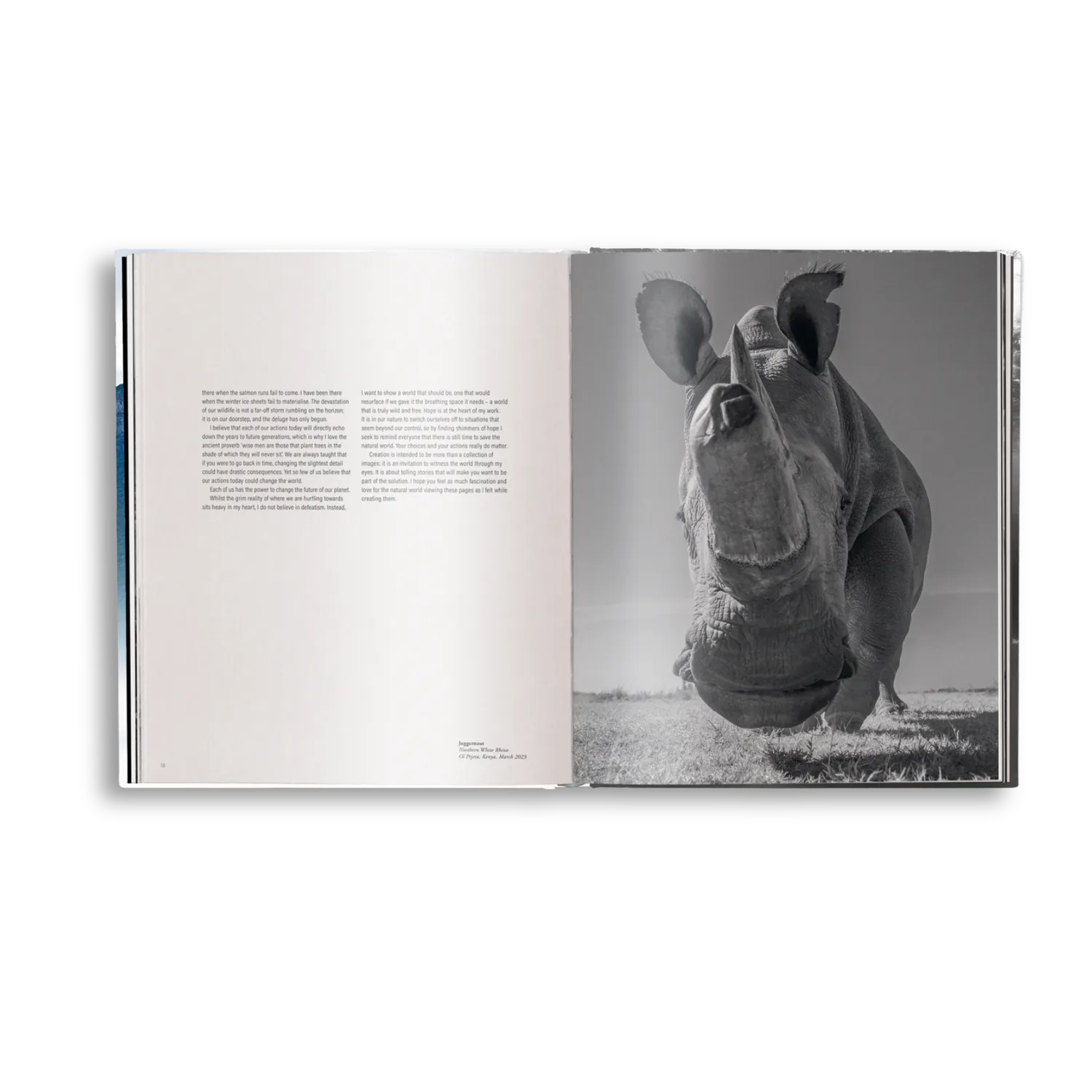 Gestalten Creation Bildband Tierfotografie Harry Skeggs