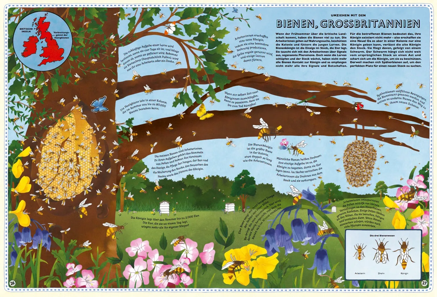 Little Gestalten Der große Atlas der Tiere Sachbuch Kinder