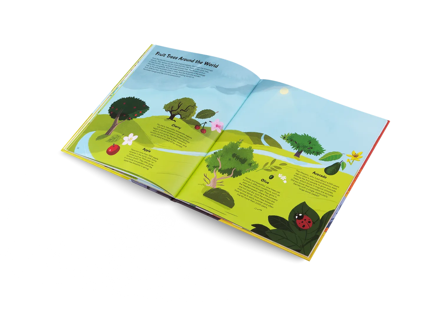 Gestalten The Little Book of Trees Kinderbuch Bäume